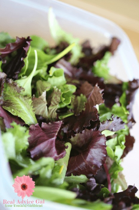 Fresh lettuce in Rubbermaid