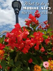 What to do in Mount Airy North Carolina