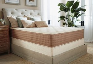 The eco terra latex mattress