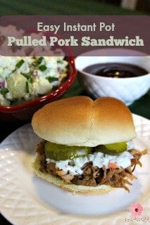 IP Pulled Pork 4