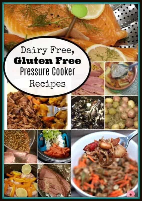 Dairy Free Gluten Free Pressure Cooker recipes