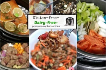 Gluten free Dairy Free Recipes Pressure Cooker Recipes