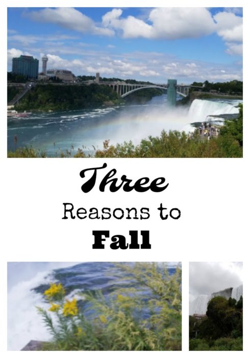 things to do in niagara falls ny