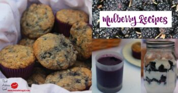 Got Mulberries? 3 Mulberry Recipes