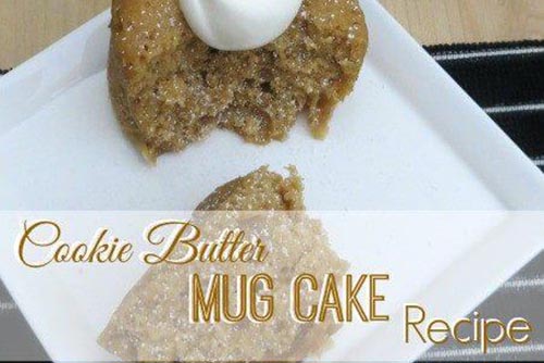 Cookie Butter Microwave Mug Cake Recipe