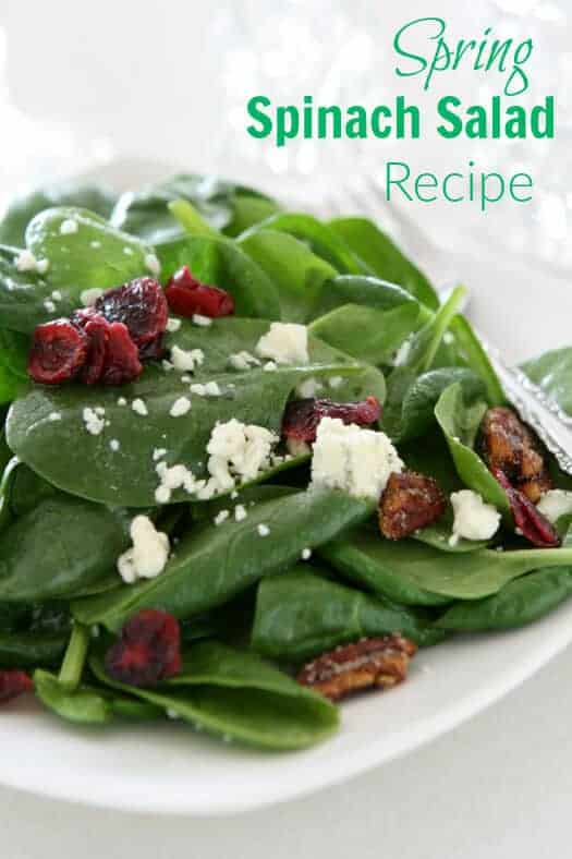 Spring Spinach Salad Recipe