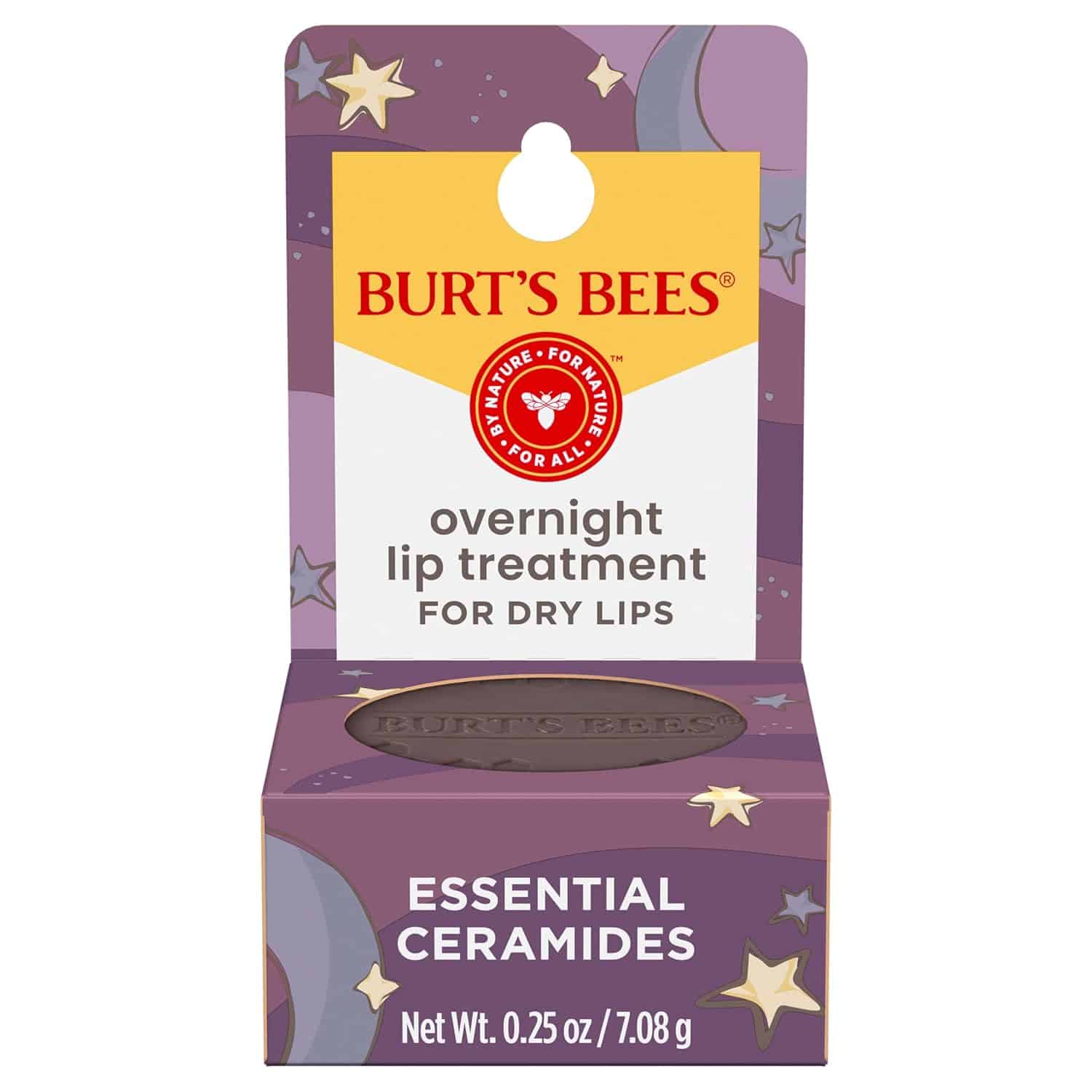 Burt's Bees Original Overnight Intensive Lip Treatment